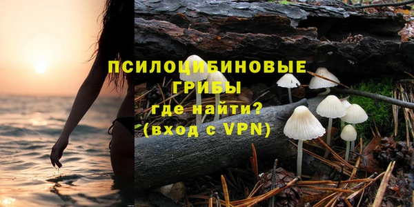 эйфоретик Алексеевка